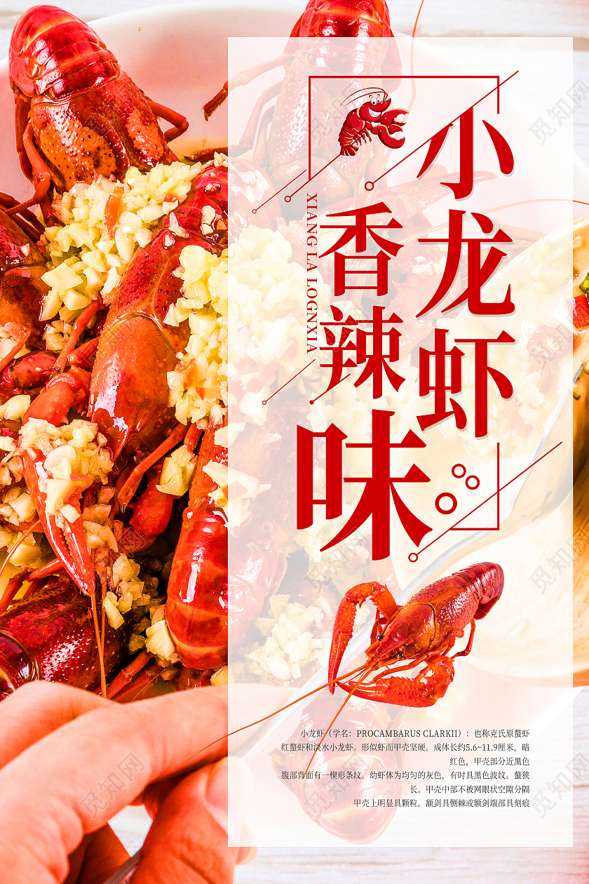 简约清新大气摄影图香辣小龙虾海报小龙虾展板