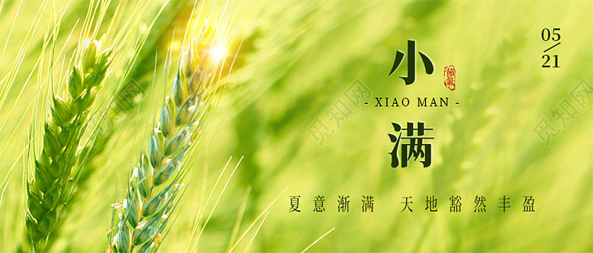 黄色简约24节气小满微信公众号首图