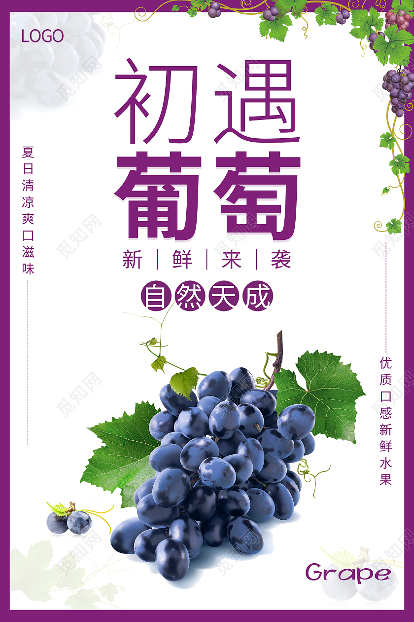 紫色简约清新大气初遇葡萄水果海报葡萄海报
