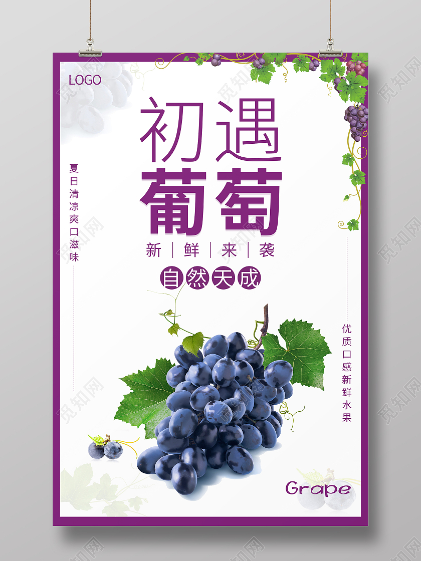 紫色简约清新大气初遇葡萄水果海报葡萄海报