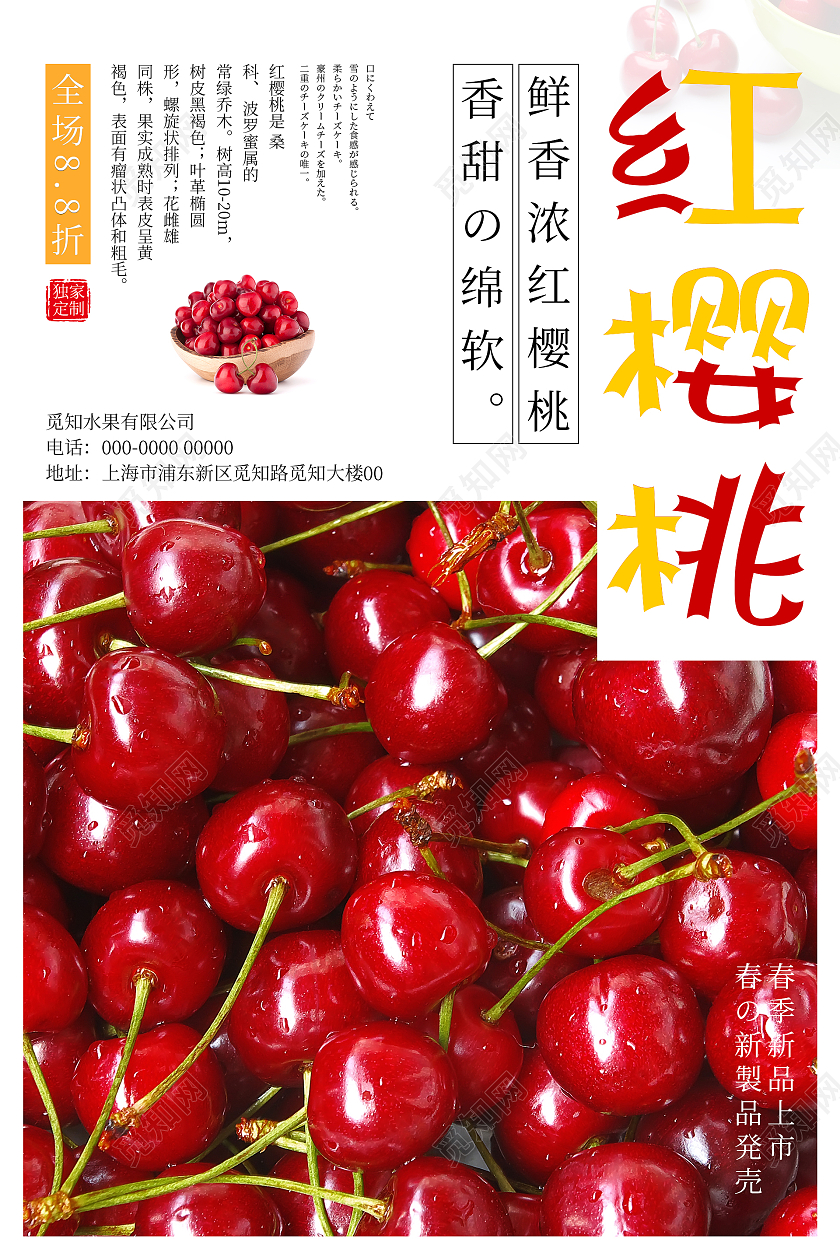 红色简约清新大气红樱桃海报