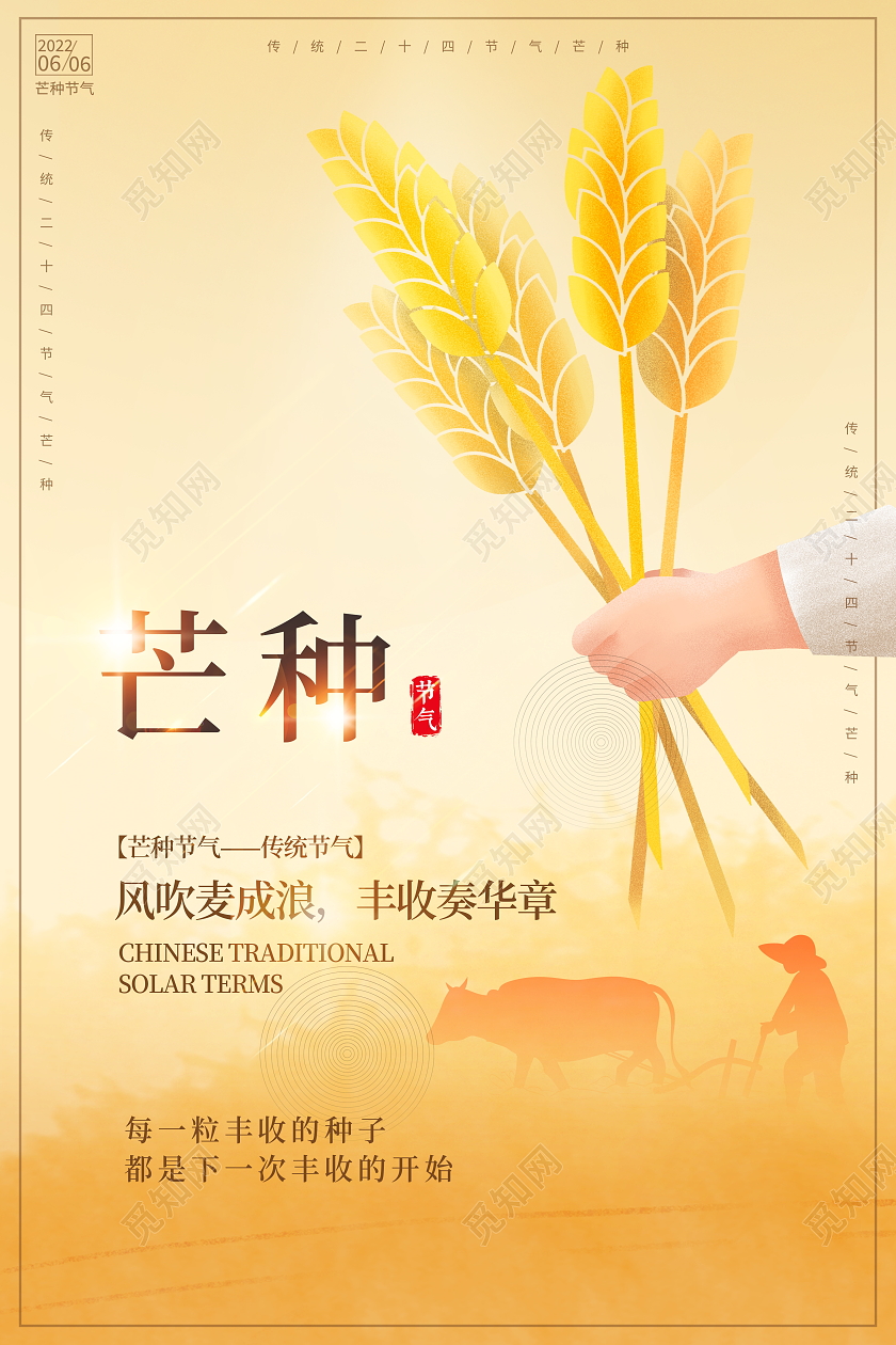 时尚插画二十四节气芒种宣传海报节日