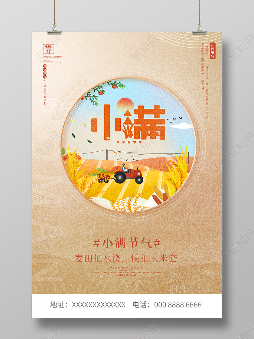 插画二十四节气小满宣传海报