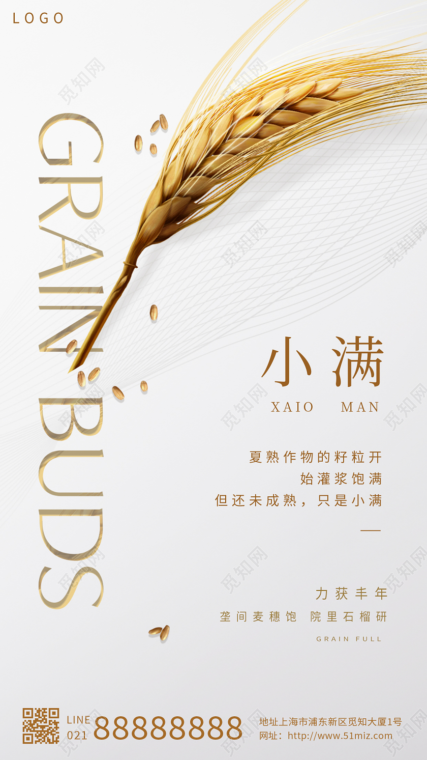 白色背景创意小麦二十四节气小满手机宣传海报