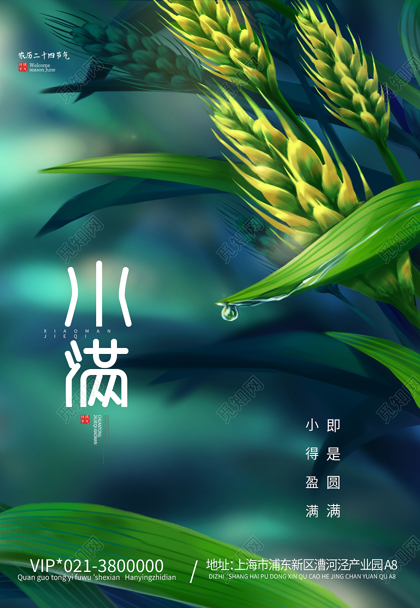 绿色插画小满节气二十四节气海报背景小满海报节日