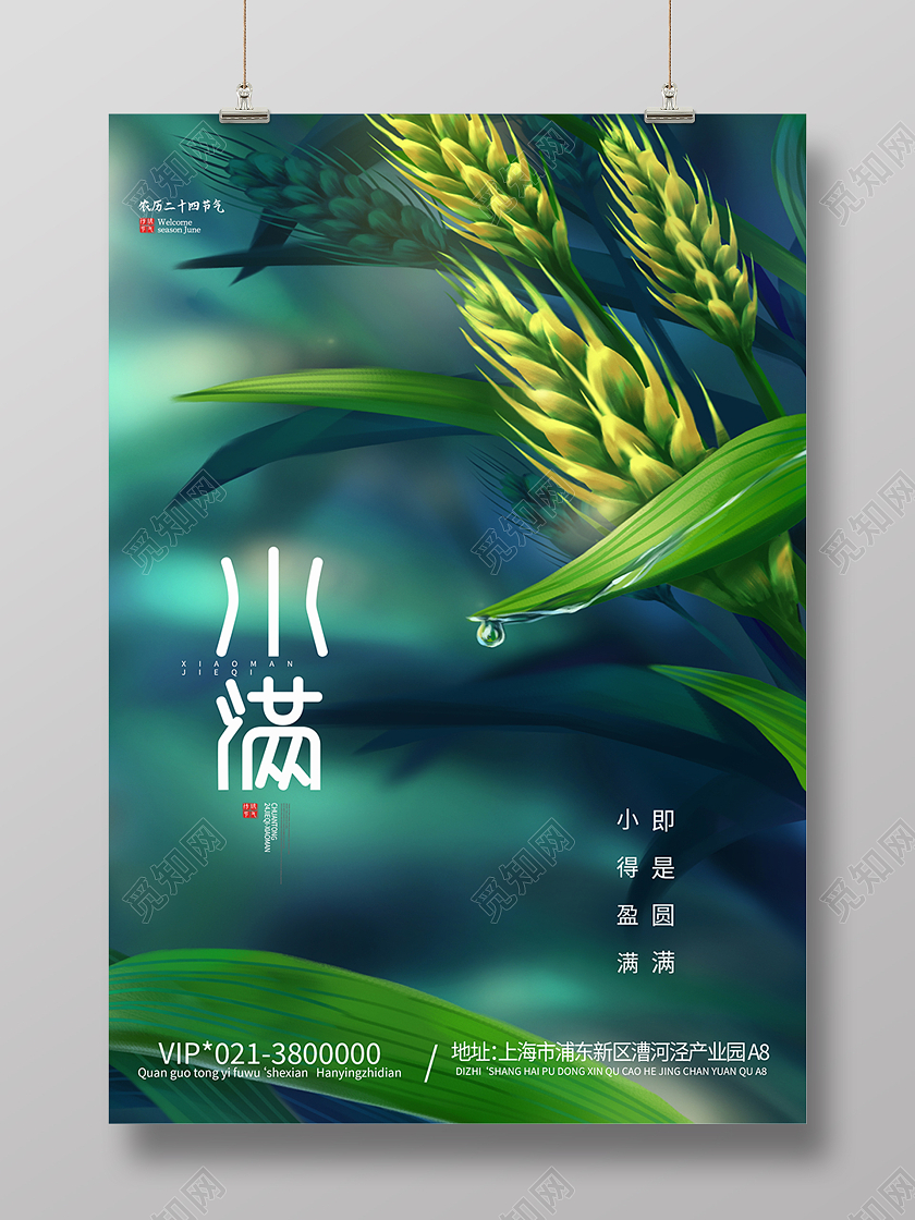 绿色插画小满节气二十四节气海报背景小满海报节日