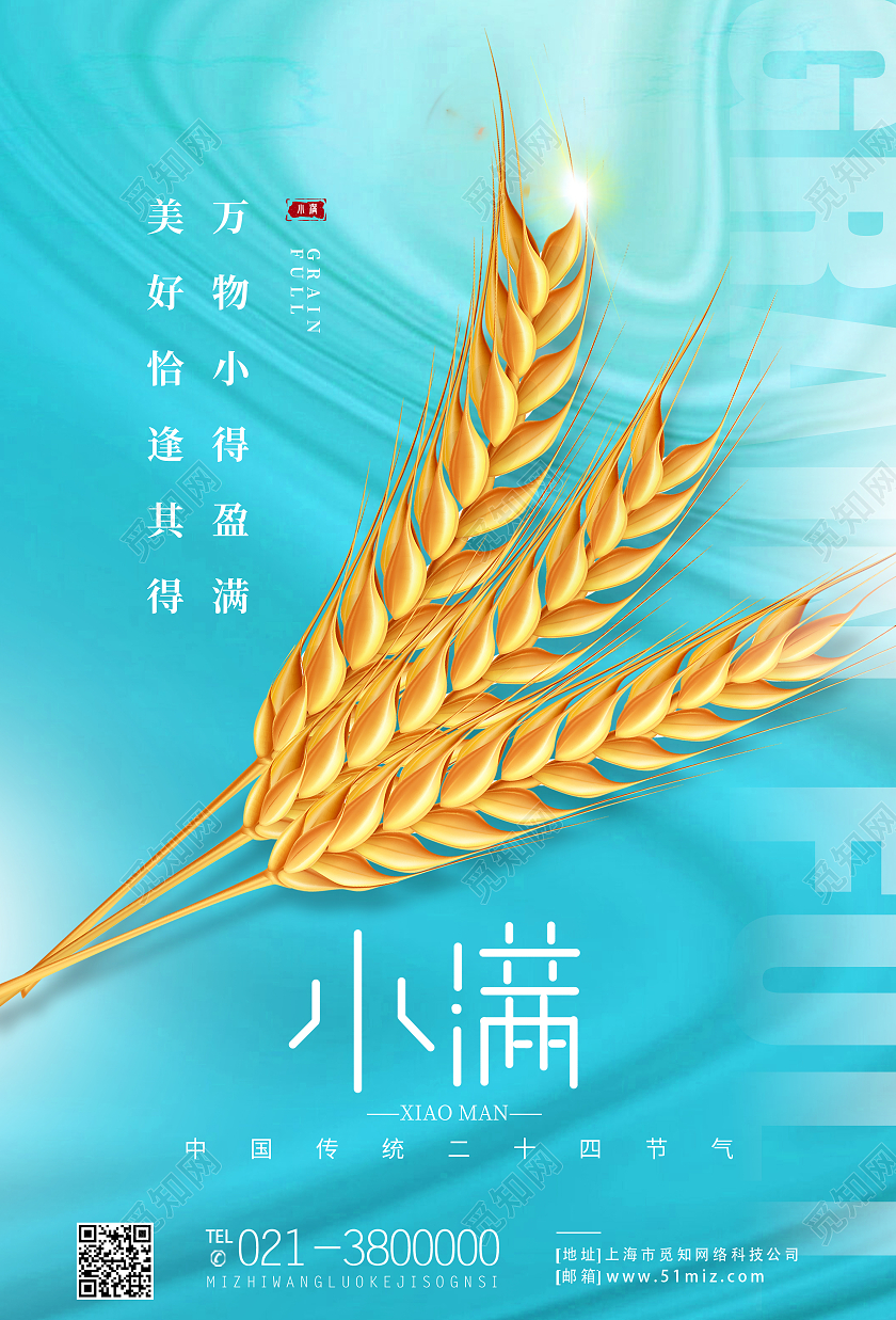 蓝色简约小满二十四节气小满海报节日海报