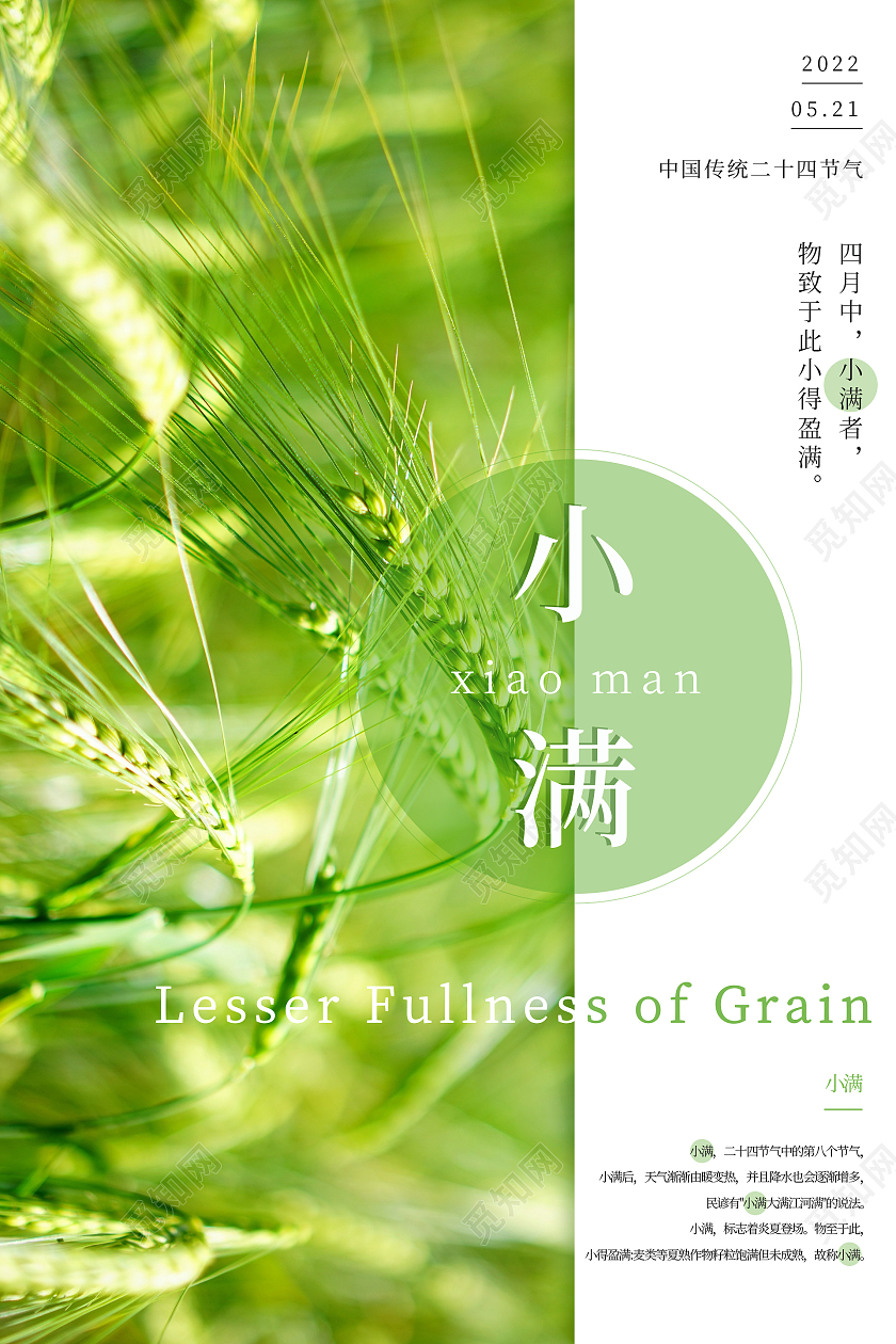 绿色简约清新大气摄影图二十四节气小满海报小满海报节日