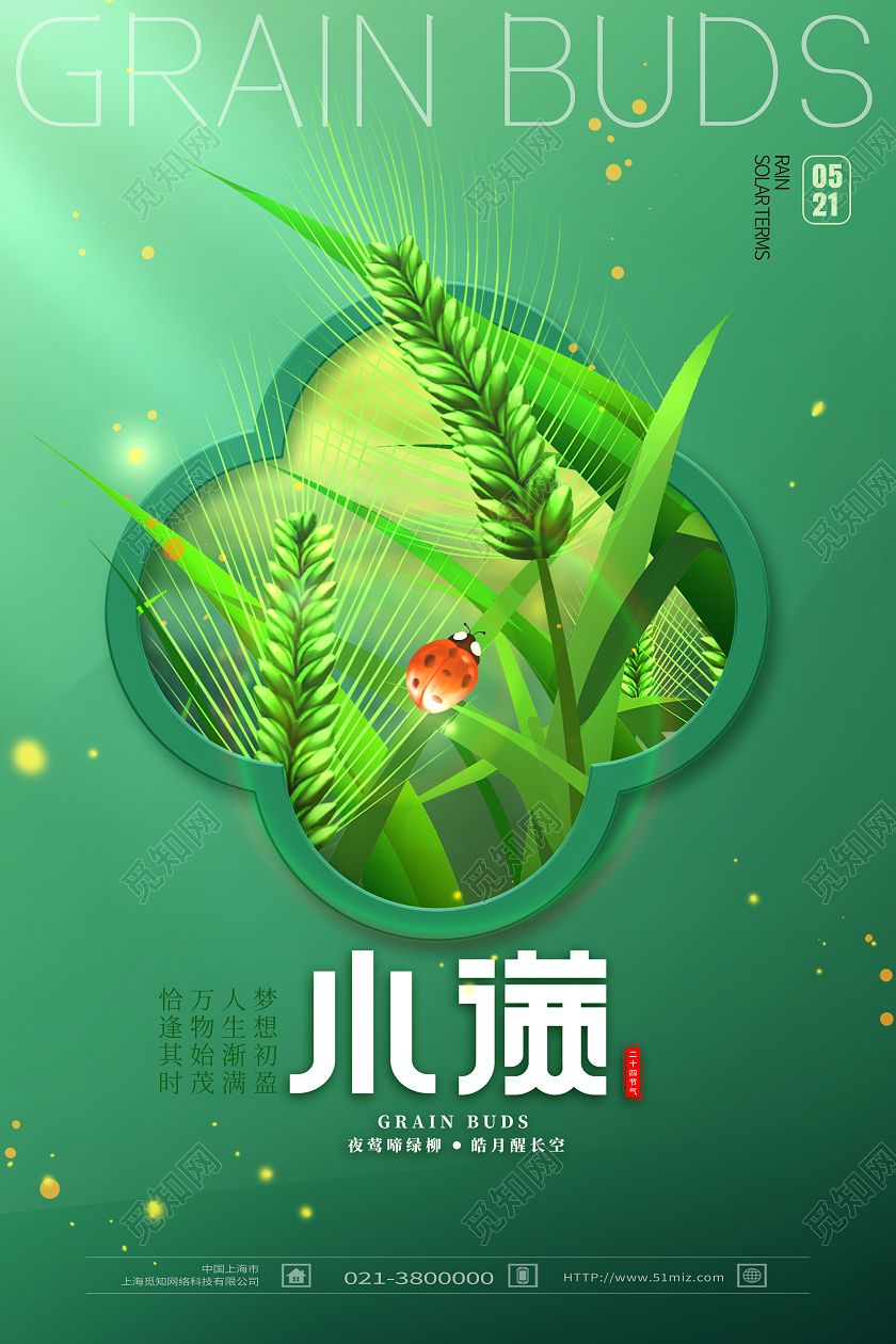 绿色简约小满二十四节气小满海报节日海报