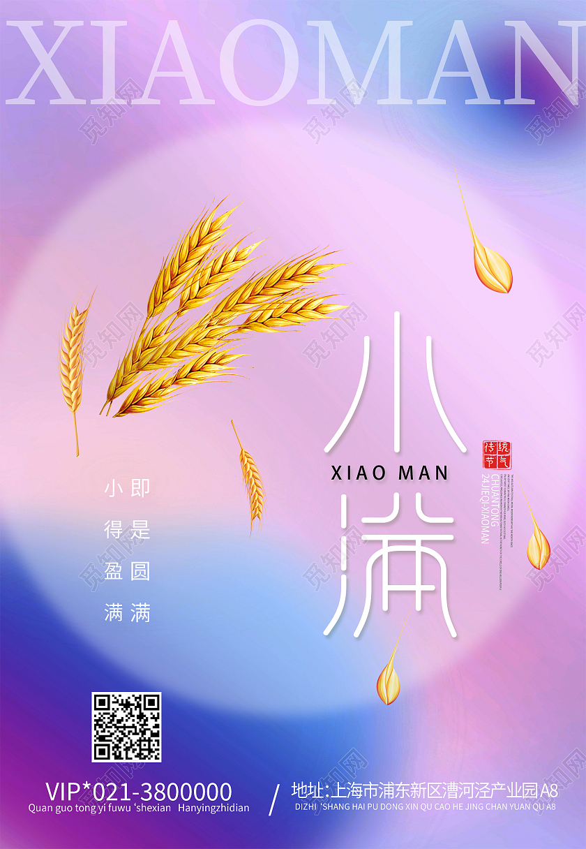 蓝紫色酸性小满节气二十四节气海报背景小满海报节日