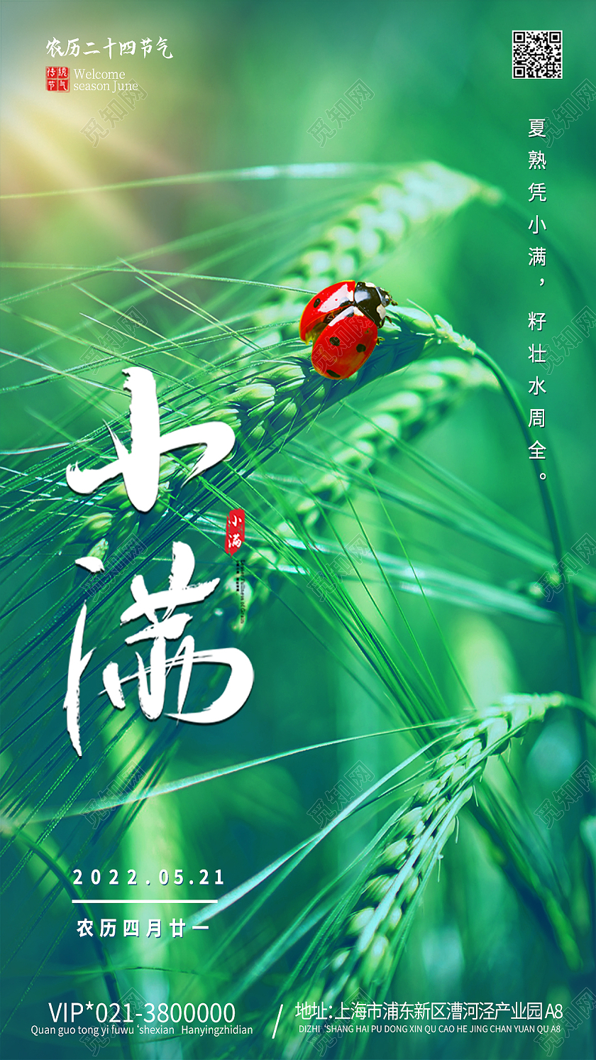 绿色实景图小满节气二十四节气手机海报背景小满海报节日