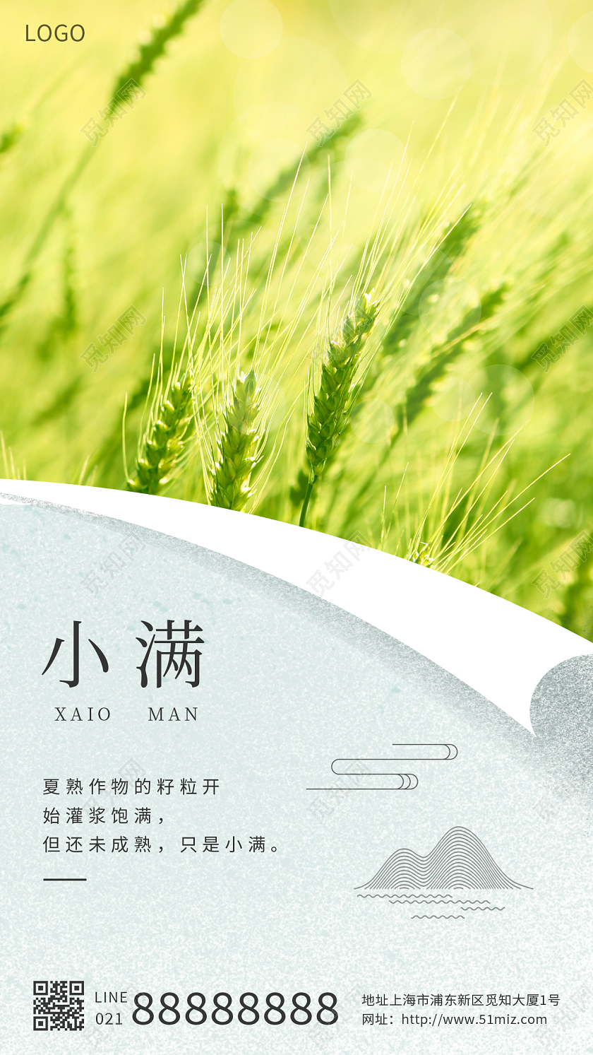 白色实拍创意小满手机宣传海报