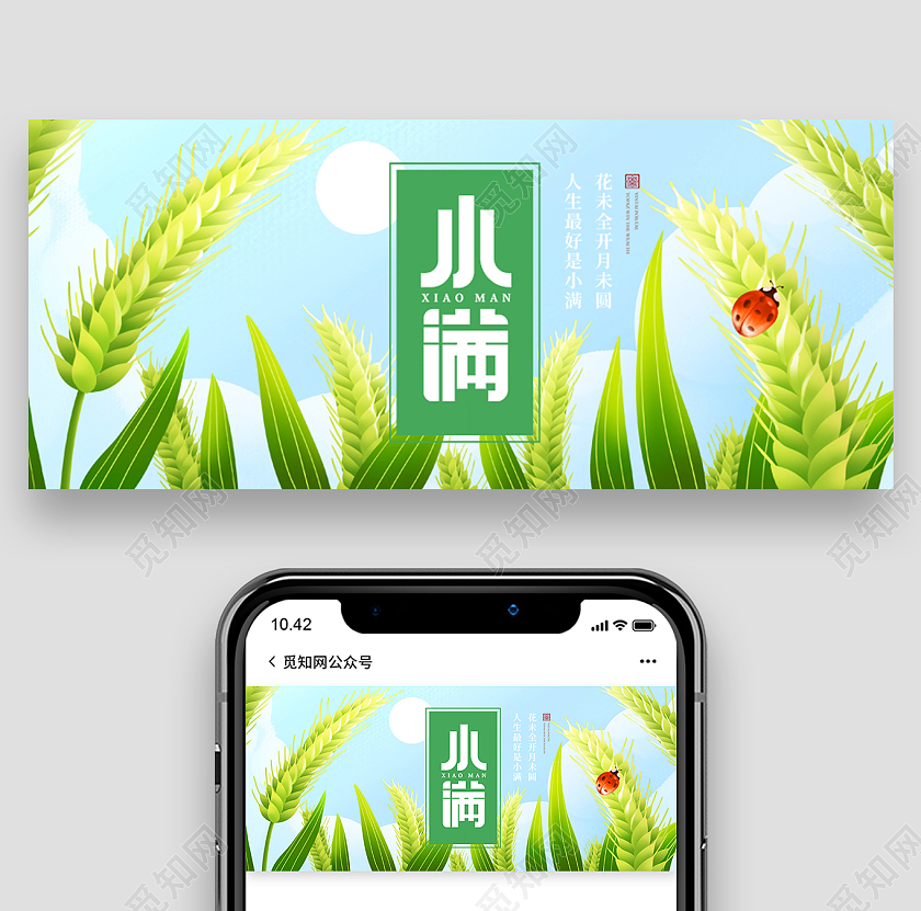 绿色简约小满二十四节气小满海报节日公众号封面