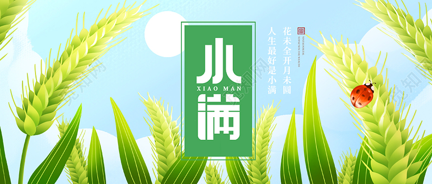 绿色简约小满二十四节气小满海报节日公众号封面