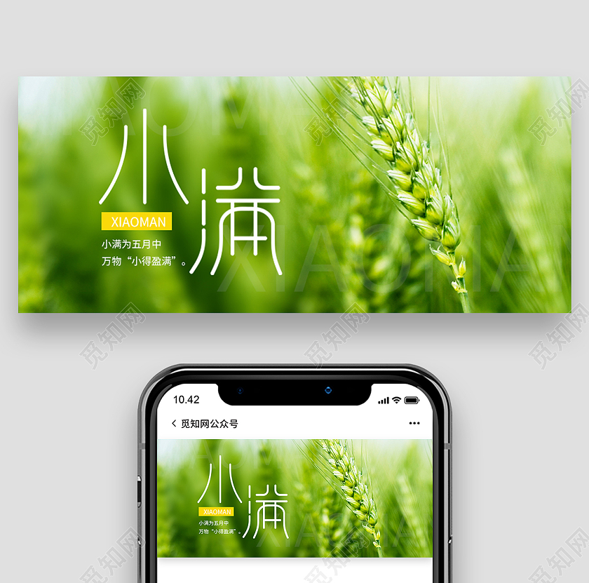 绿色简约小满二十四节气小满海报节日公众号封面