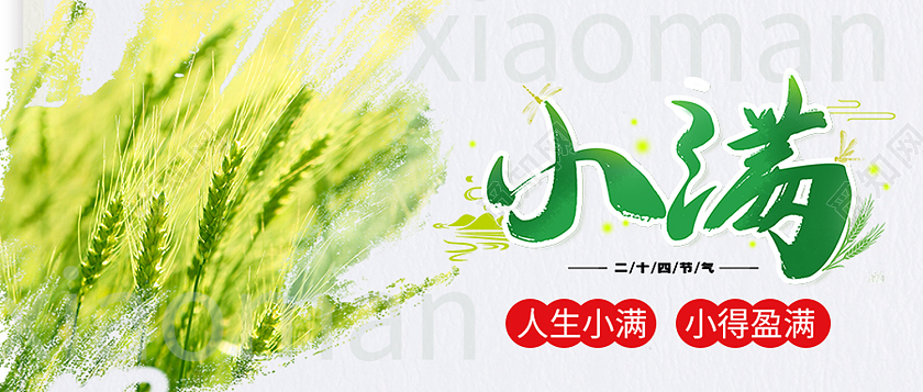 绿色简约小满二十四节气小满海报节日公众号封面