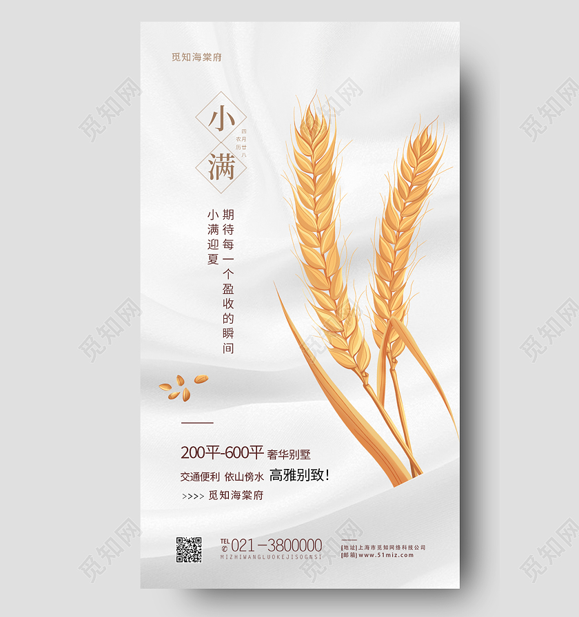 白色简约小满二十四节气小满海报节日手机海报