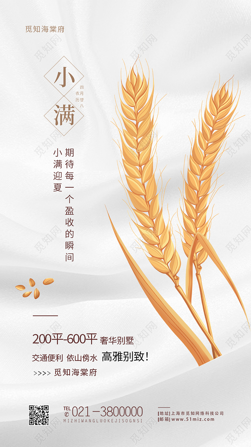 白色简约小满二十四节气小满海报节日手机海报