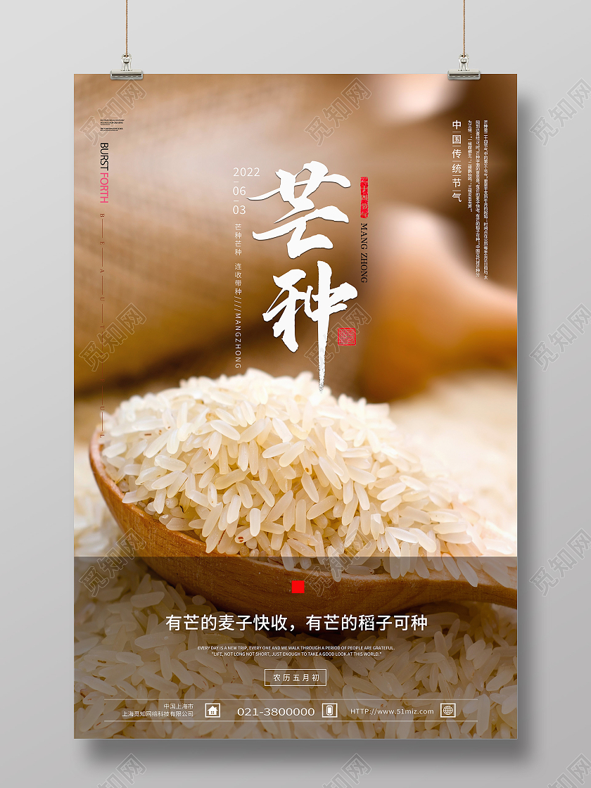 黄色简约芒种二十四节气芒种节日海报