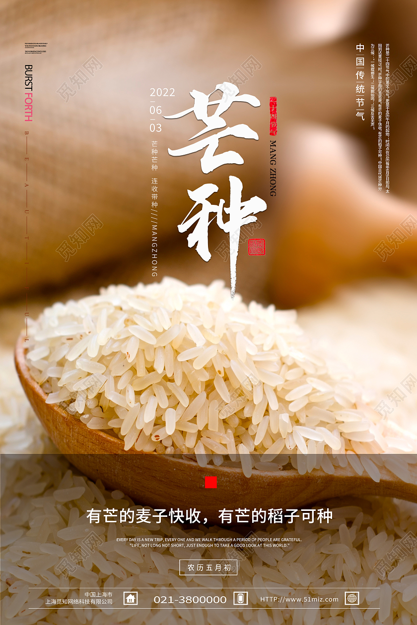 黄色简约芒种二十四节气芒种节日海报