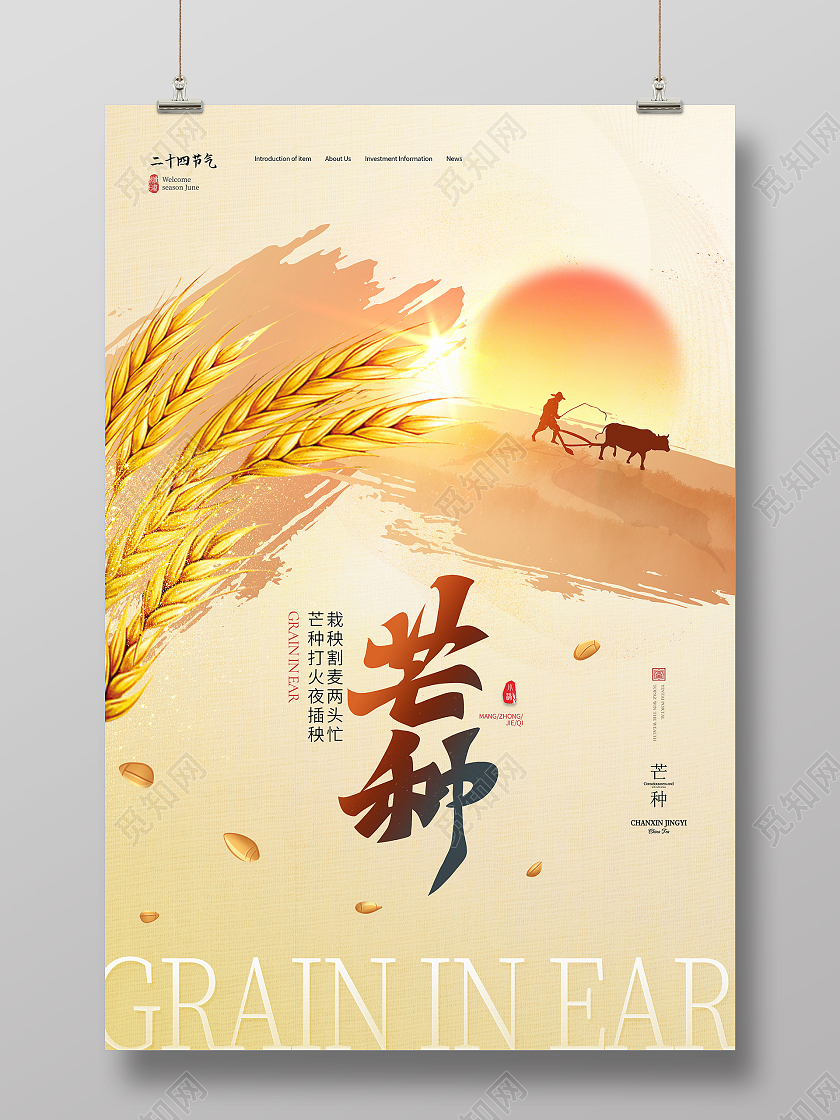 黄色简约芒种二十四节气芒种节日海报
