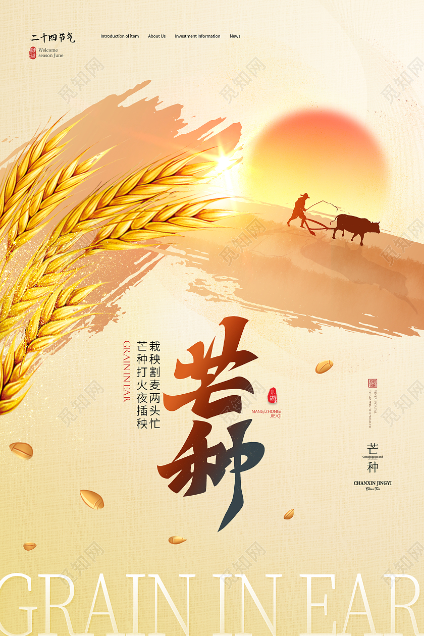 黄色简约芒种二十四节气芒种节日海报