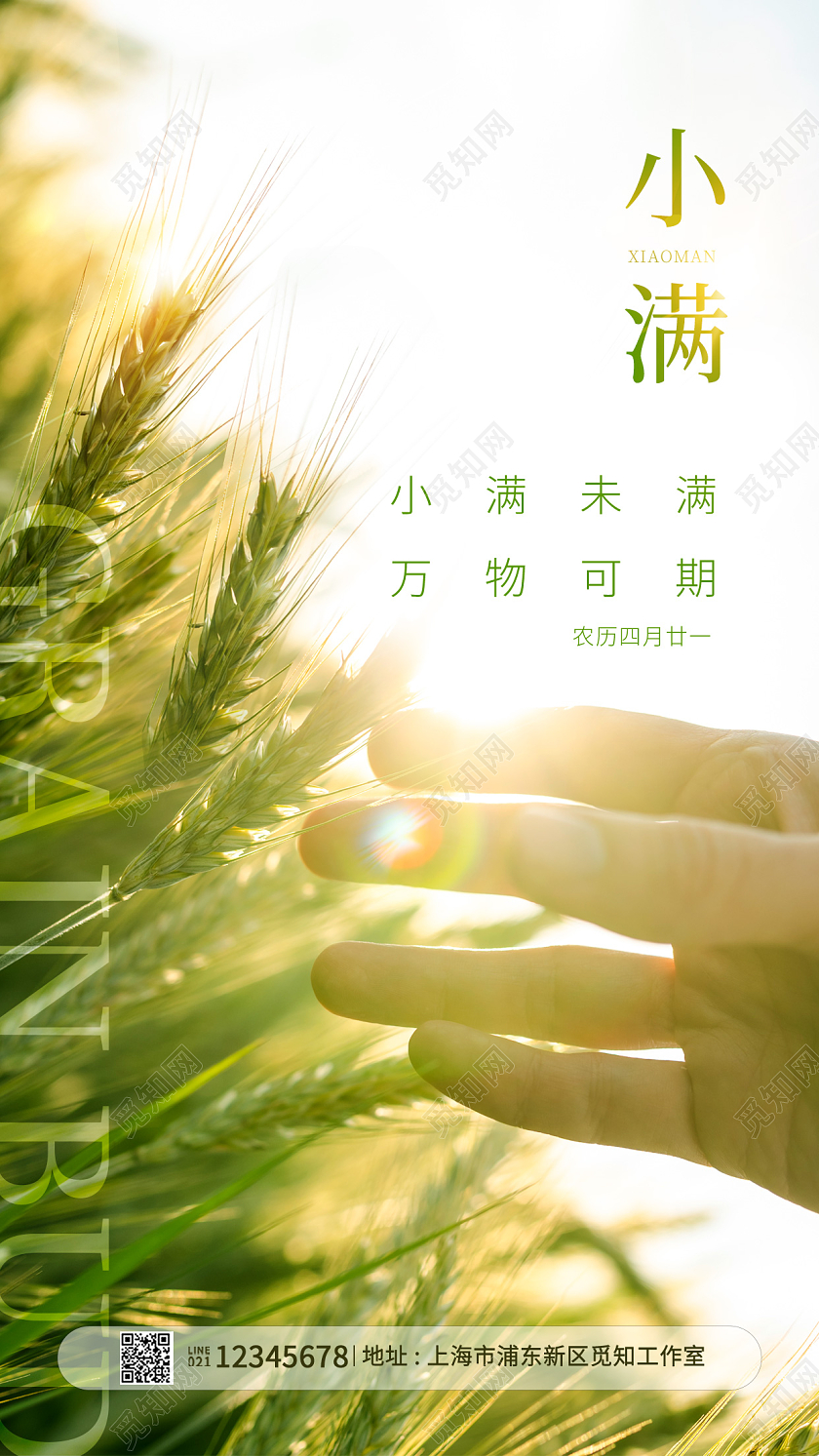 绿色实拍小满手机宣传海报二十四节气
