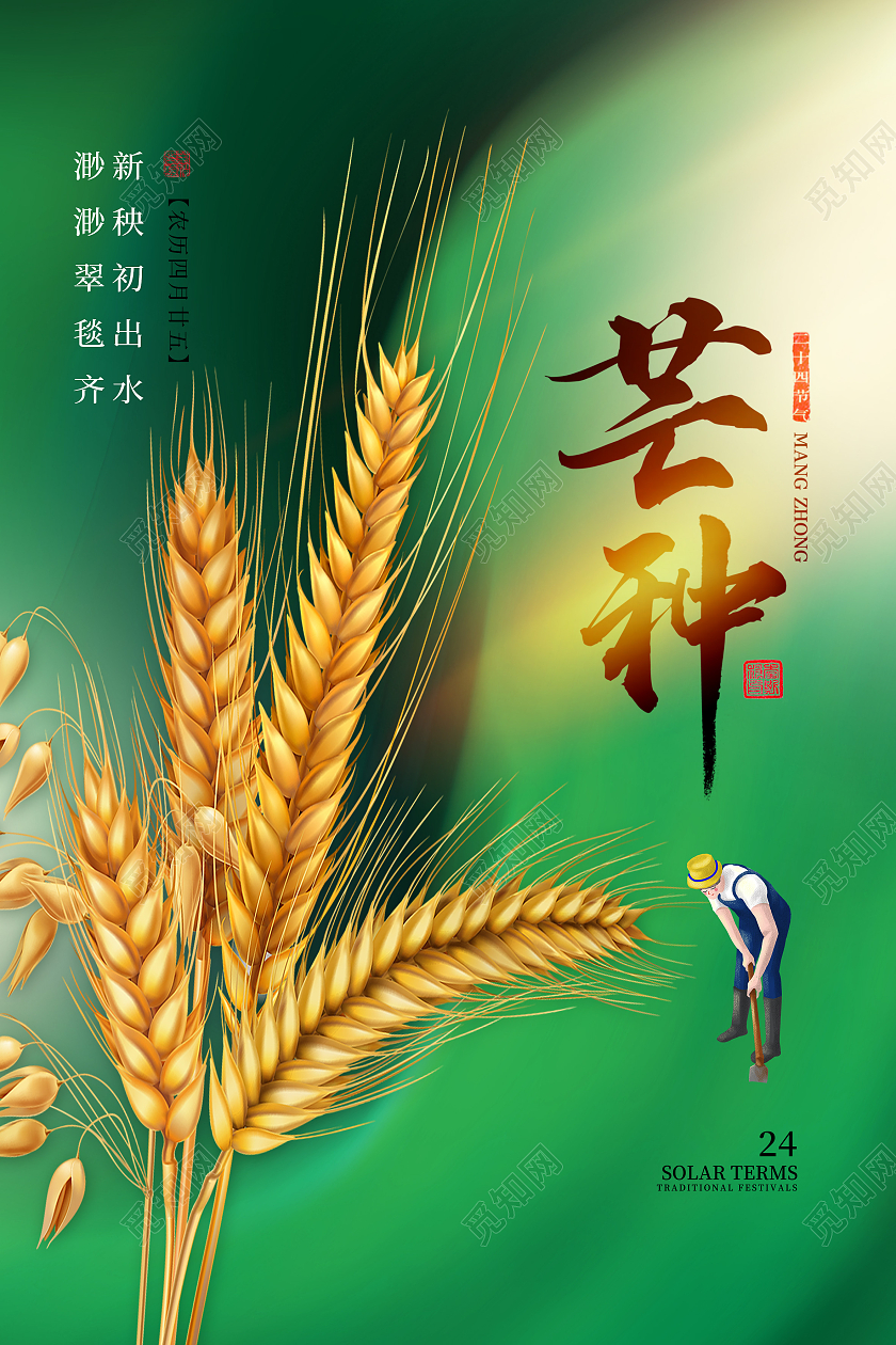 绿色简约风芒种二十四节气芒种节日海报