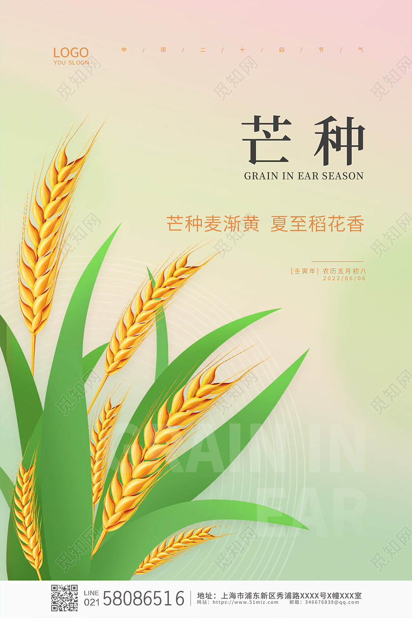 绿色简约大气小麦传统节气芒种宣传芒种海报