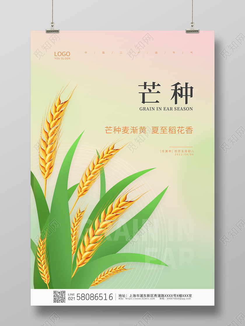 绿色简约大气小麦传统节气芒种宣传芒种海报