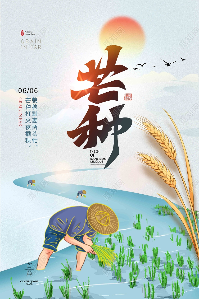 绿色简约芒种二十四节气传统节气芒种节日海报