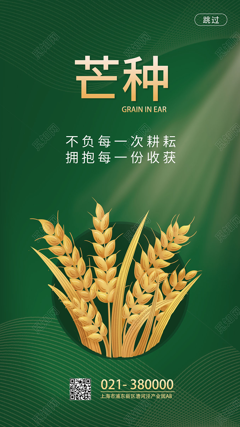 深绿色扁平风芒种节气芒种节日海报手机海报