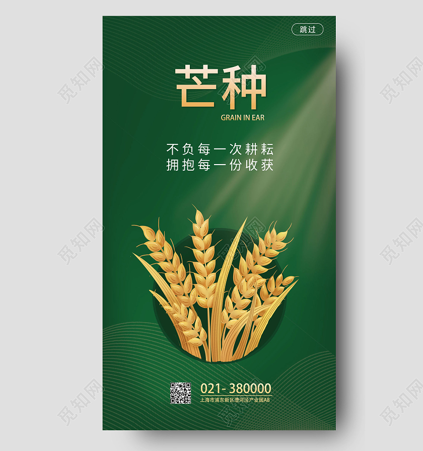 深绿色扁平风芒种节气芒种节日海报手机海报