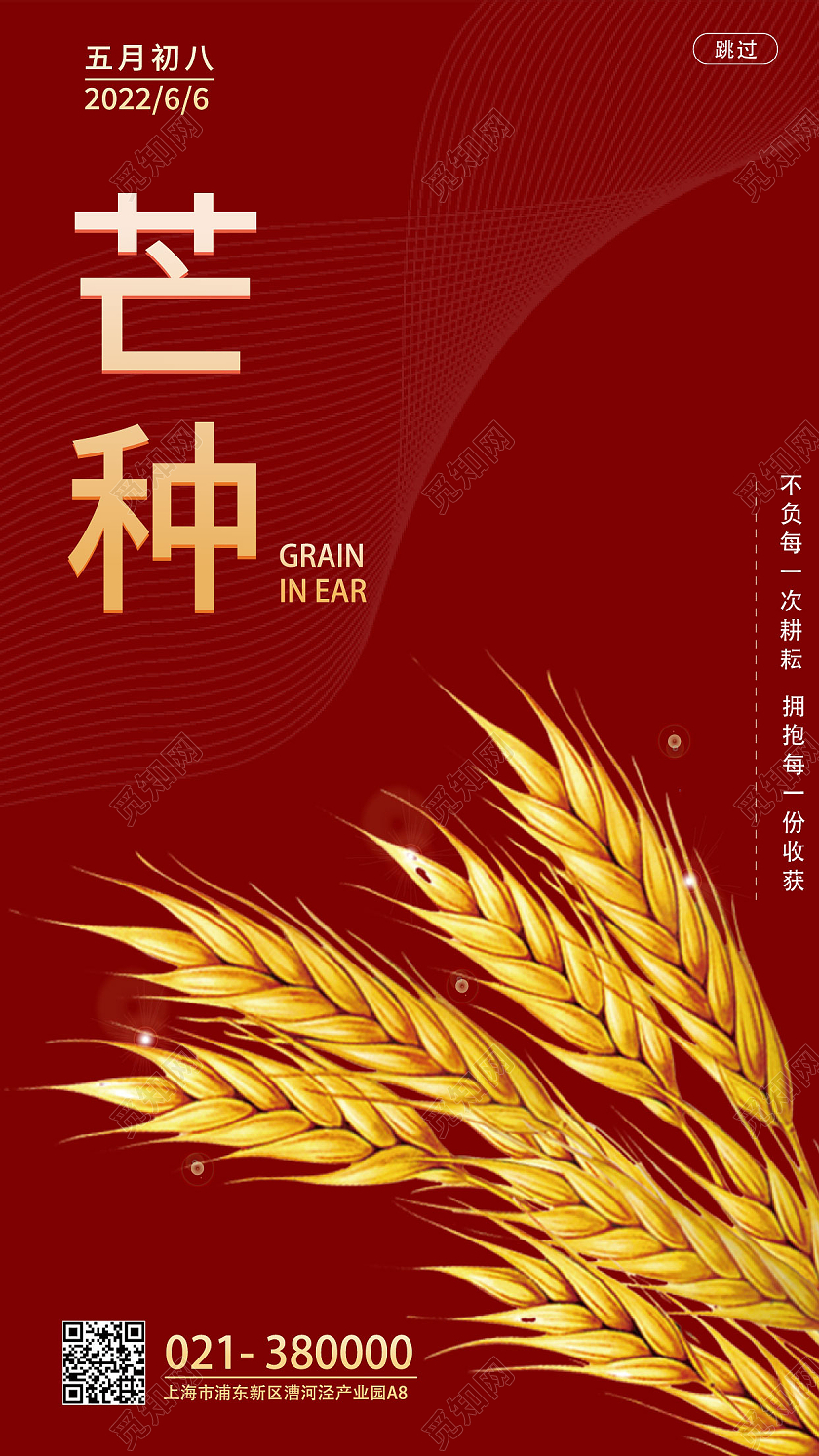 红色扁平风芒种节气芒种节日海报手机海报