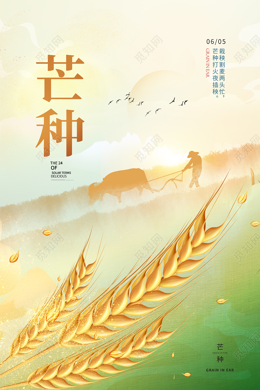 简约中国风插秧割麦节气芒种海报