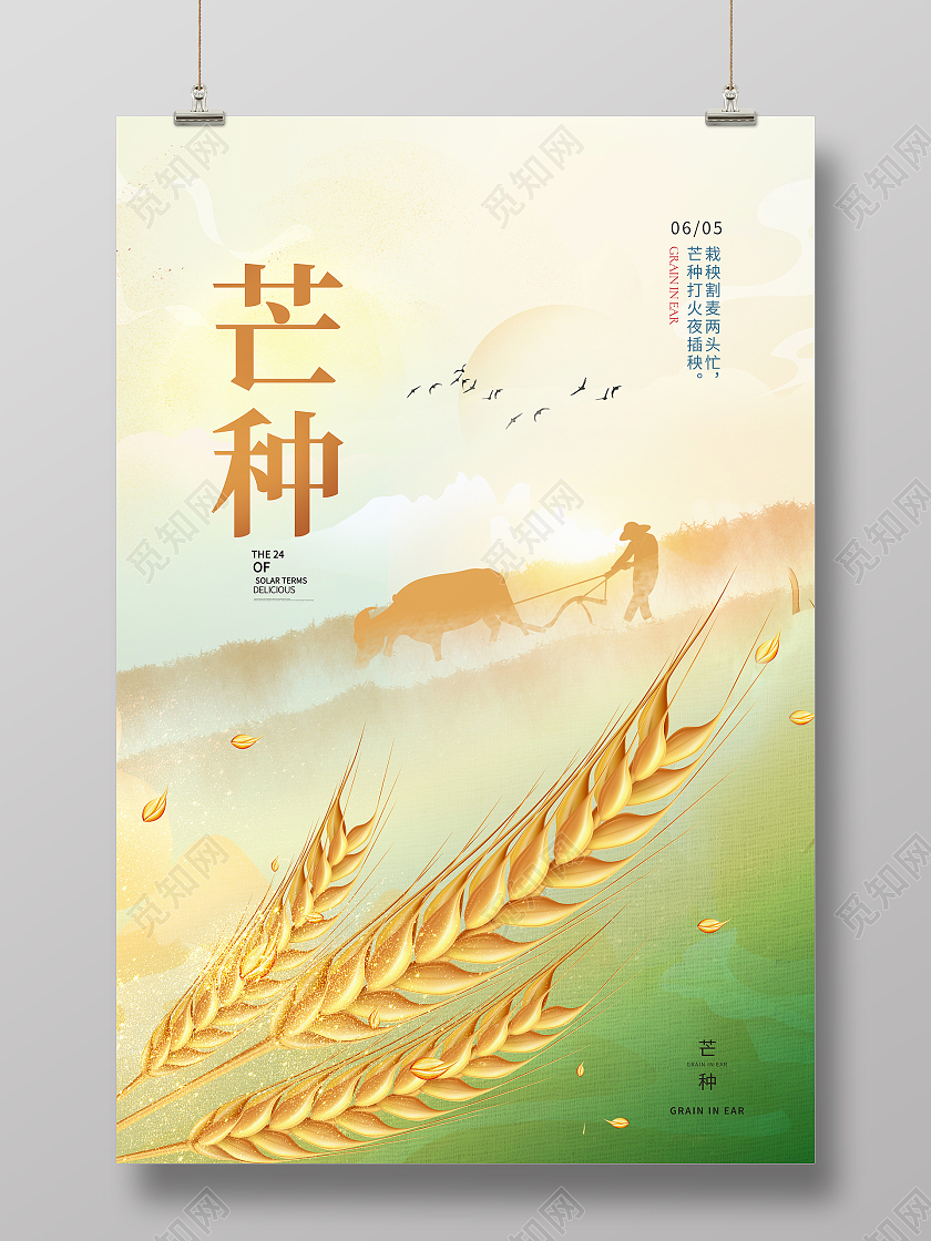 简约中国风插秧割麦节气芒种海报
