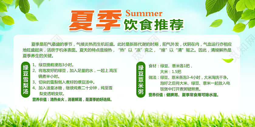 绿色简约夏季饮食推荐夏季饮食宣传栏展板