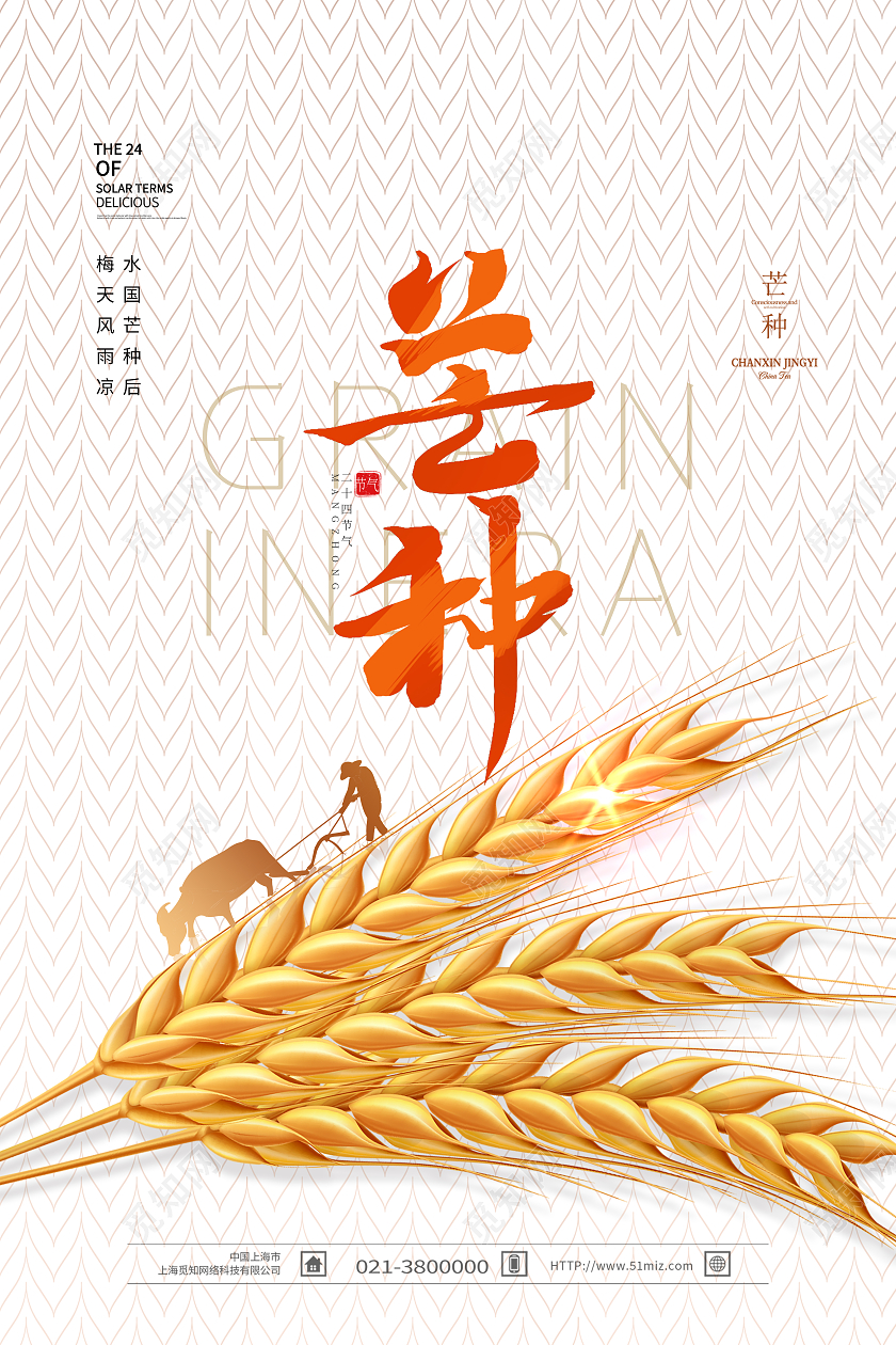 白色简约芒种二十四节气芒种节日海报