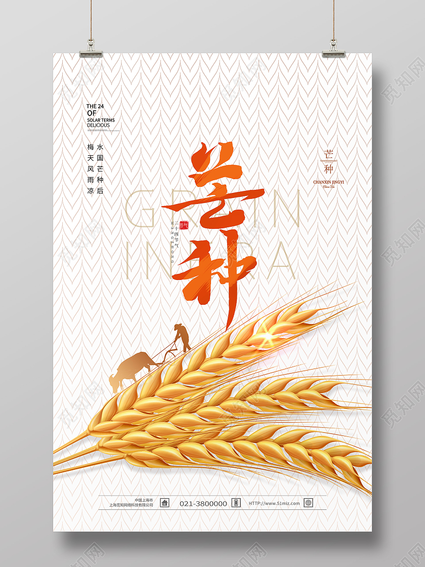 白色简约芒种二十四节气芒种节日海报