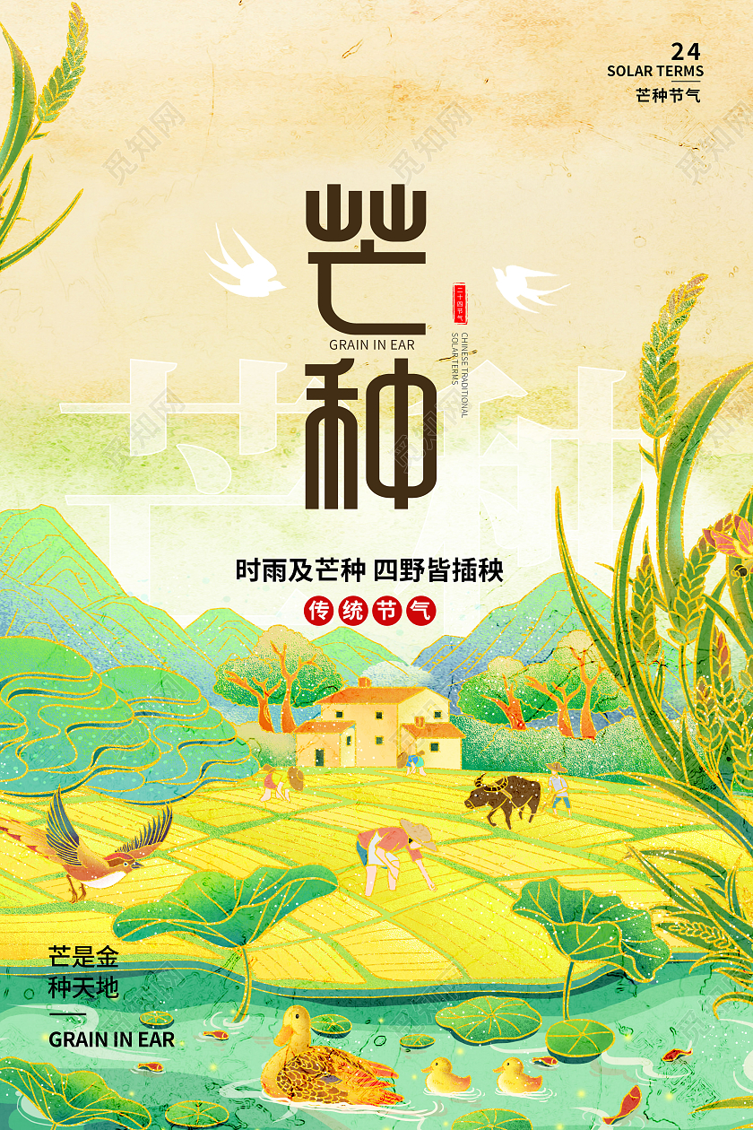 绿色简约芒种二十四节气芒种节日海报