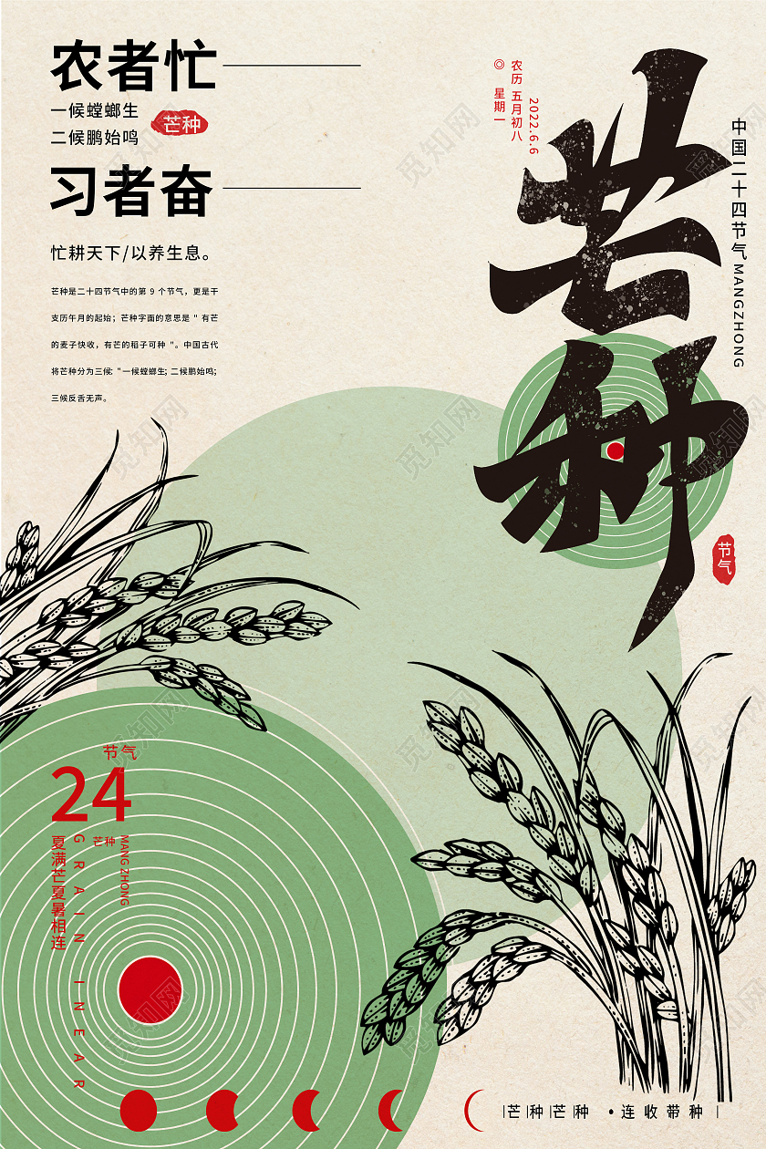 黄色简约芒种二十四节气传统节气芒种节日海报
