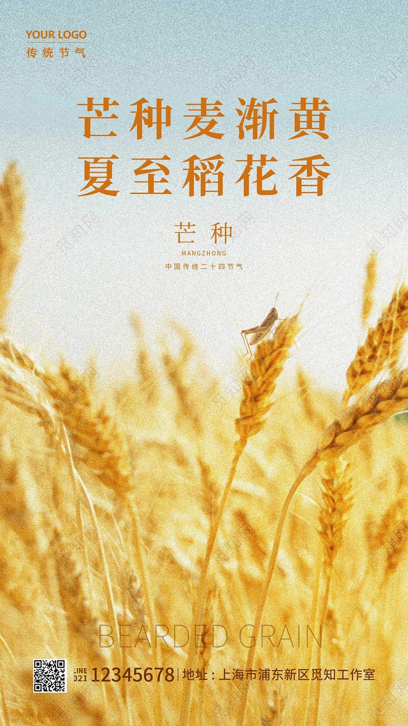 黄色油画芒种麦渐黄夏至稻花香芒种手机宣传海报