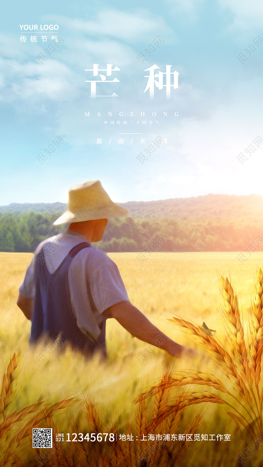 黄色油画灵感芒种手机宣传海报