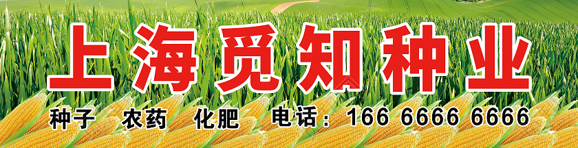 绿色田地水果种业门头招牌种子门头