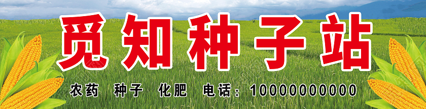 种子站农药化肥种业门头种子门头