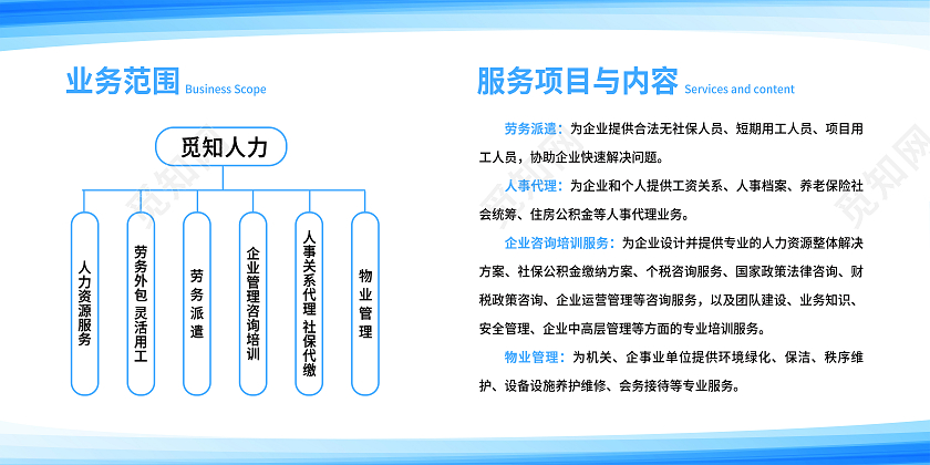 蓝色简约业务范围服务项目与内容人力资源宣传栏展板