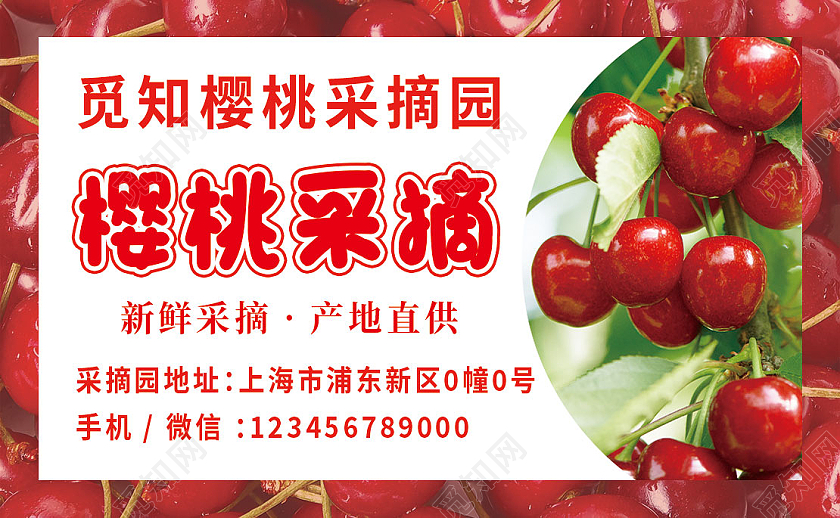 红色樱桃车厘子采摘名片樱桃采摘名片
