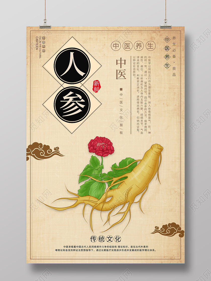 纸质背景中国风大气人参海报