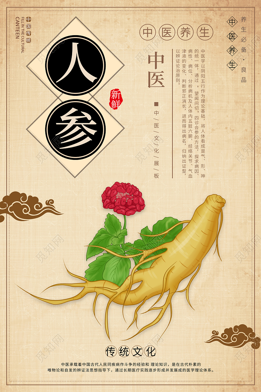 纸质背景中国风大气人参海报