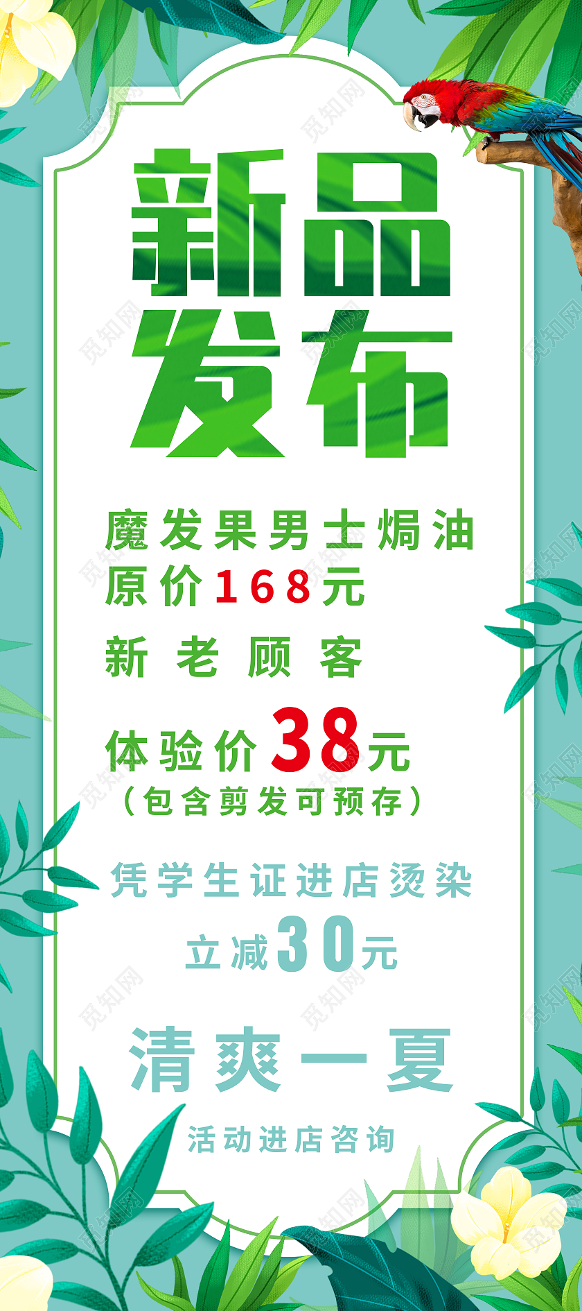 绿色简约新品发布清凉一夏新品发布展架易拉宝